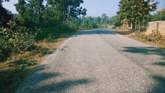 कैलालीको बडैपुर–उदासिपुर सडक पाँच वर्षदेखि अलपत्र