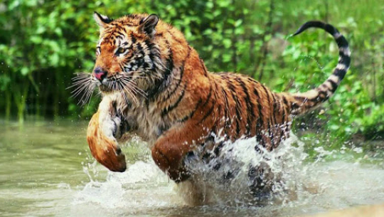 फाइल फोटो