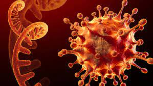 देशभर एकैदिन थप ७१० जनामा कोरोना संक्रमण पुष्टि