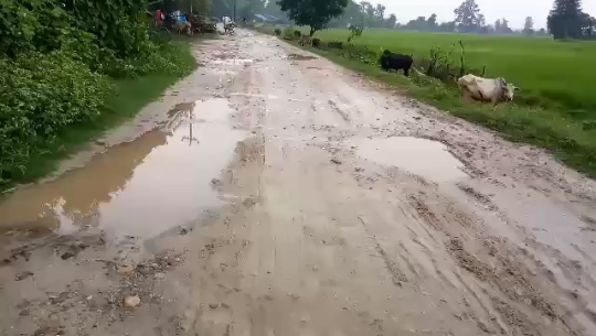 कनरी–चौमाला कृषि सडकको निर्माण अलपत्र