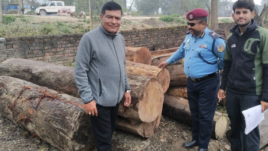 कैलालीमा अबैध काठ बरामद