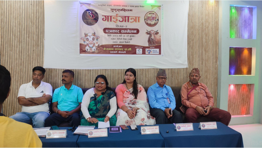 सुदूरपश्चिम गाईजात्राको दोस्रो ‘सिजन’ हुँदै