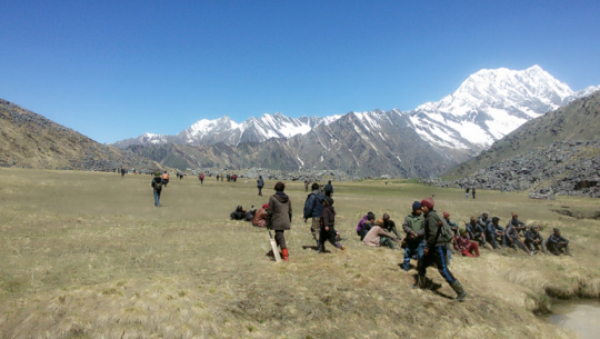 सातुसामल बोकेर यार्चागुम्बा सङ्कलनमा दार्चुलाका स्थानीय