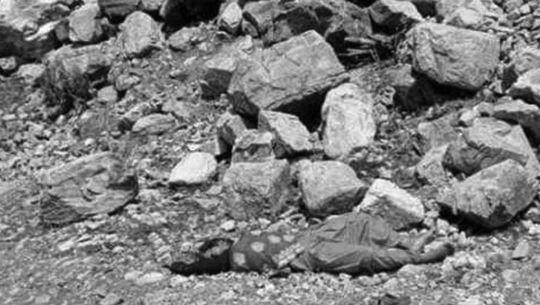 बझाङमा एक युवती मृत फेला