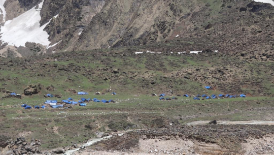 दार्चुलाको हिमाली क्षेत्रका नागरिकका लागि काल बन्दै यार्सागुम्बा