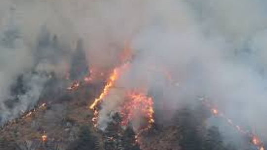 डोटीको जोरायलका जङ्गलमा आगलागी