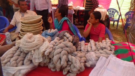 लद्यु उद्यमीको गुनासो : सरकारबाट सहयोग नपाउदा अन्तराष्ट्रिय बजारमा प्रतिस्पर्धा गर्न सकिएन (भिडियो रिर्पोट)