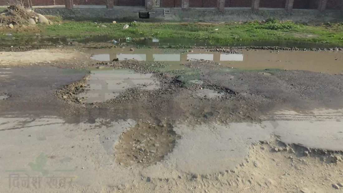 तस्वीर : नवराज