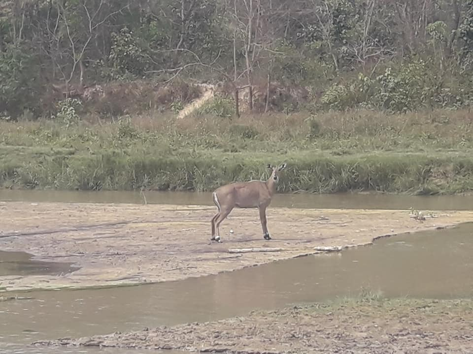 फोटो: राजवहादुर ऐर