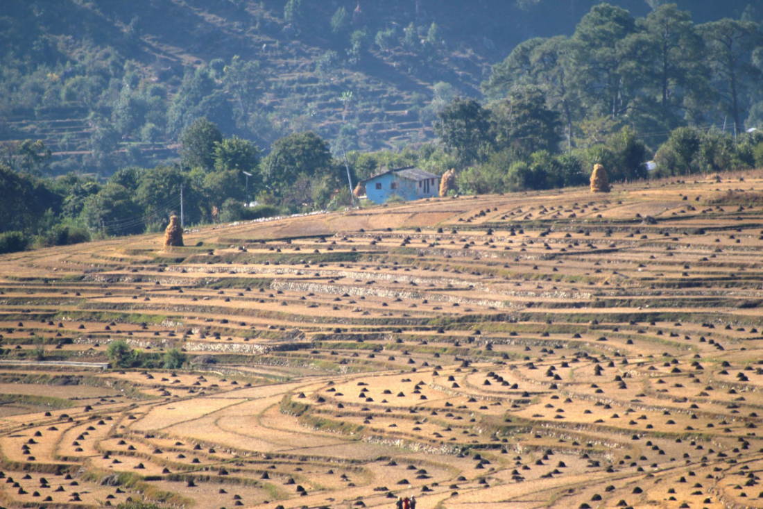  फोटो : बिन्दु चन्द 