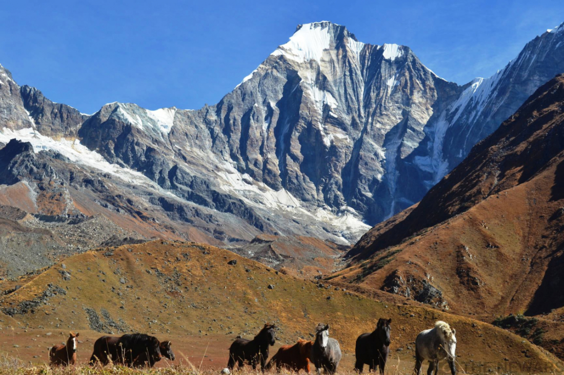 यस हिमालको उचाइ ७ हजार १३२ मिटर रहेको छ ।