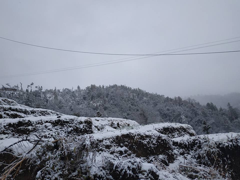 फोटो : वरुण पनेरु