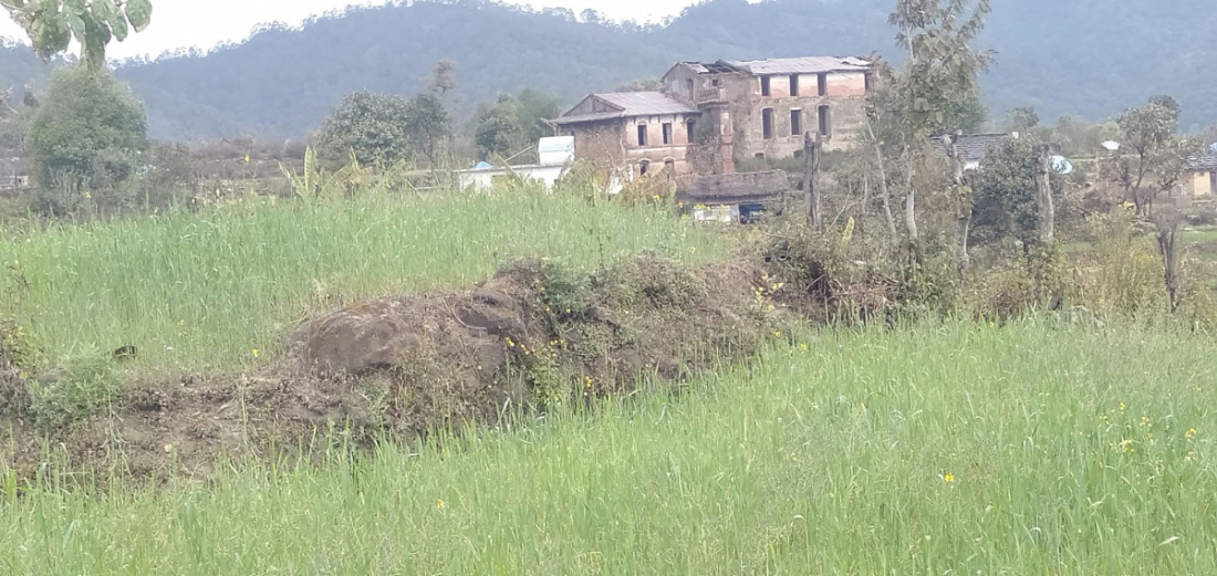 यो स्थान कैलाली जिल्ला गौरीगंगा नगरपालीकाको चौमाला बजारबाट उत्तरतर्फ  पैदल यात्राको दुरीमा पर्दछ । 