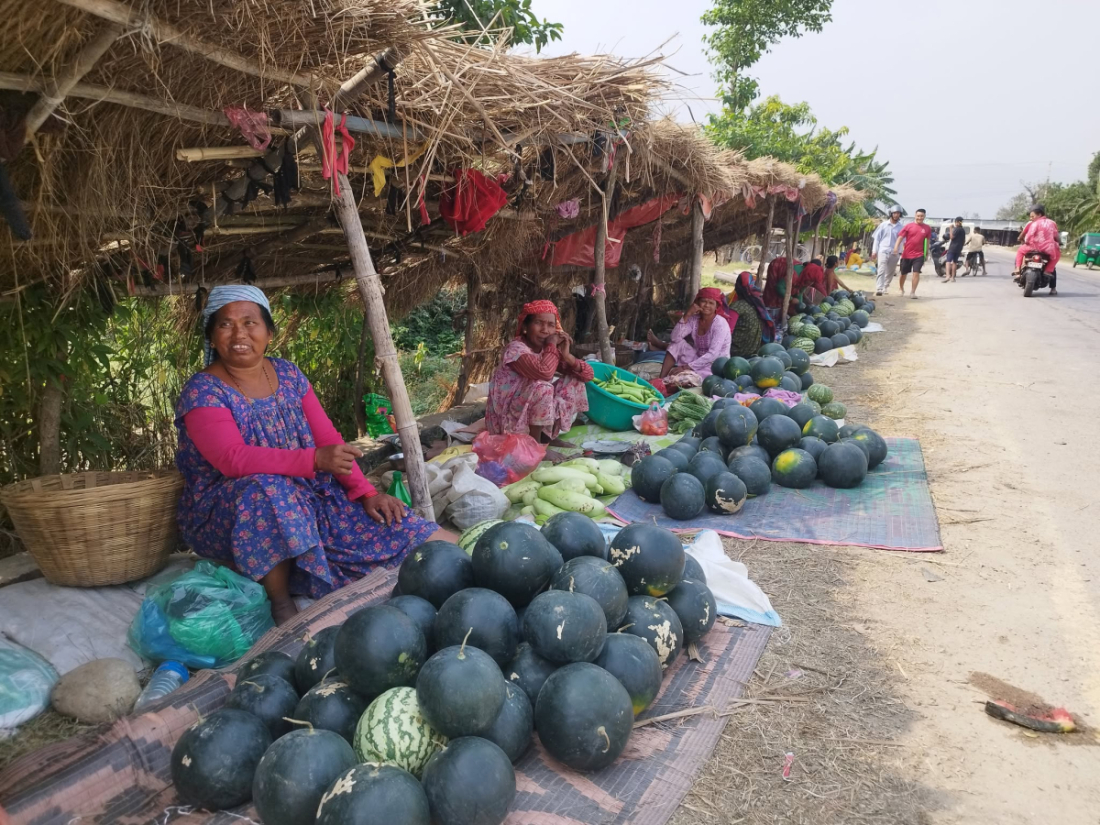 खरभुजा बिक्री गर्न उपभोक्ताको प्रतीक्षामा बसेका किसान। 
