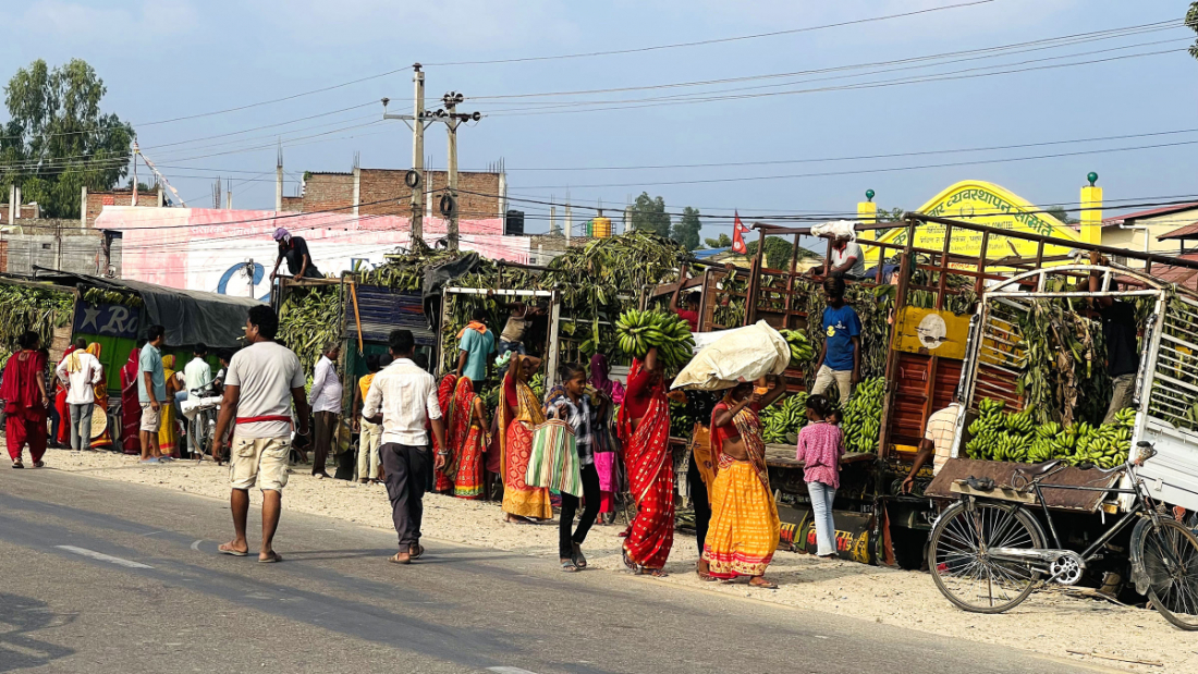 छठ पर्वको लागि केरा किनमेल गरिँदै । छठ पर्वमा सिङ्गो घरी केरा चढाउने परम्परा रहेकोले केराको अहिले अत्यधिक माग रहेको छ। एक घरी केरा ५ सय देखि एक हजार रुपैयाँसम्ममा बिक्री