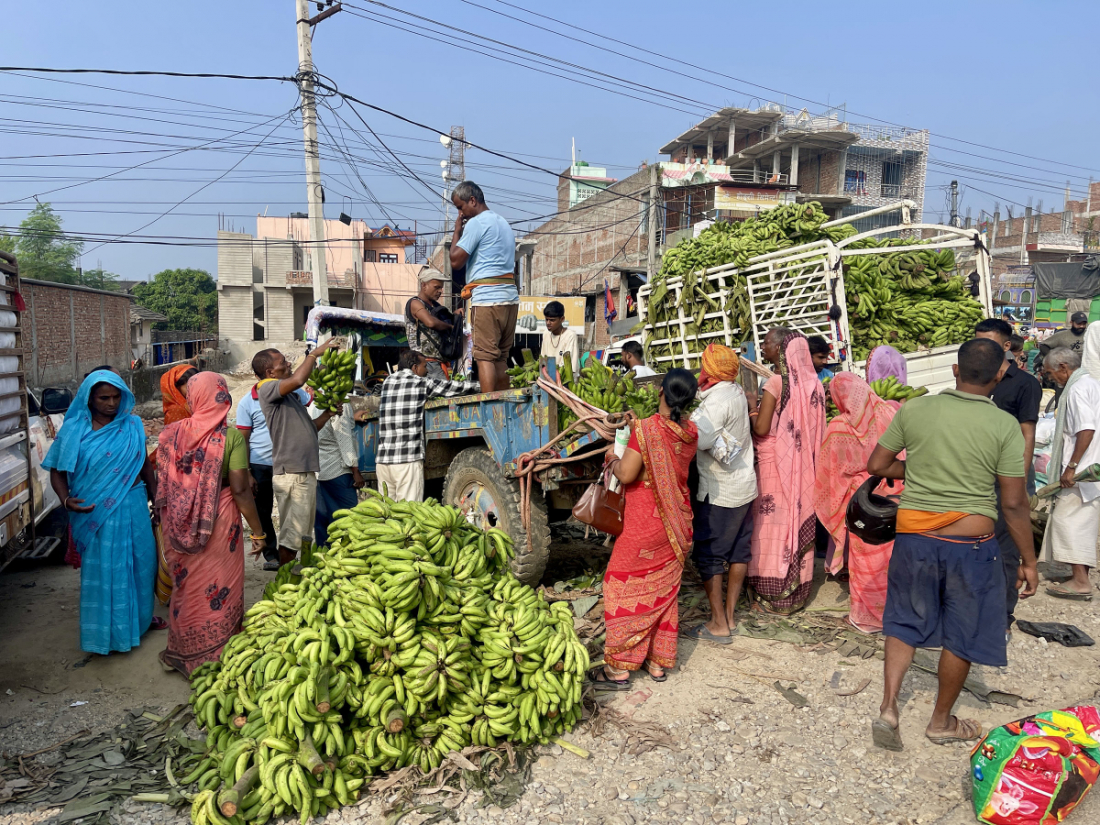  छठ पूजाका लागि केरा किन्दै सर्वसाधारण। 