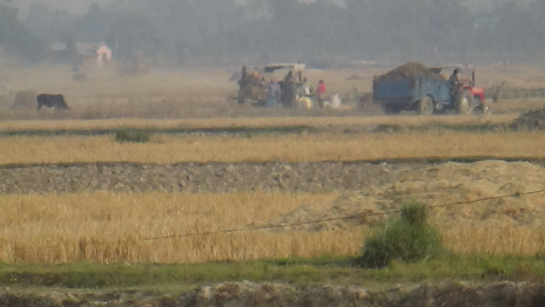  फोटो : जनक विष्ट 