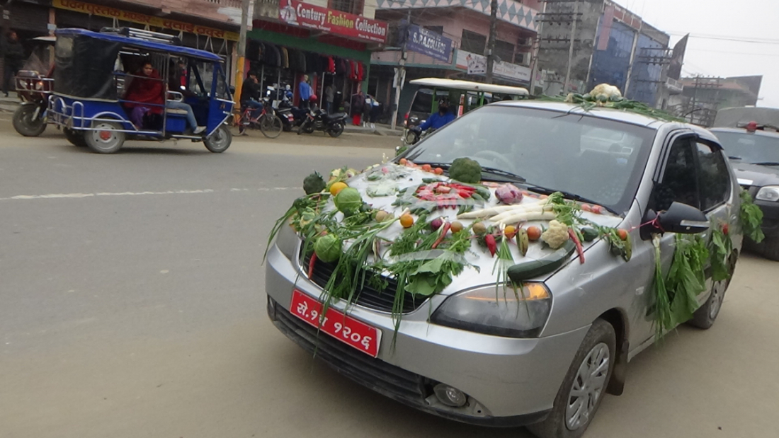 आजदेखि सुरु भएको सुदुरपश्चिम महोत्सवमा कृषिलाई प्राथमिकता दिईएको छ । त्यही भएर प्रभातफेरीमा दुई वटा जीपलाई विभिन्न तरकारीहरुले सजाईएको थियो । 
