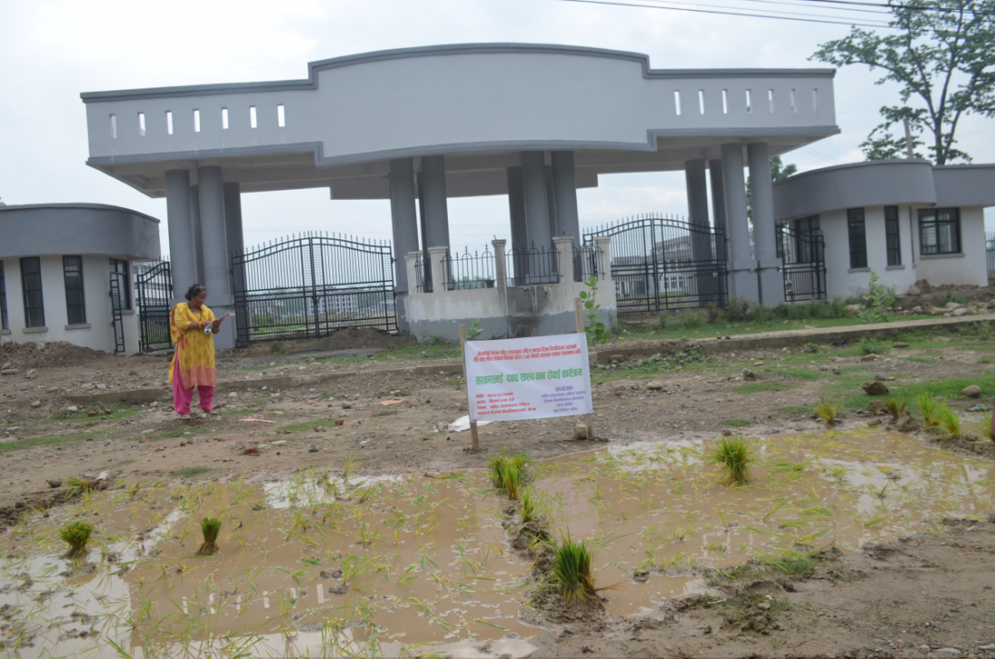    उनीहरुले प्रतिनिधि सभाबाट गेटामा विश्वविद्यालय सञ्चालनको ऐन निर्माण र गेटामा ६ सय शय्याको अस्पताल सञ्चालनको माग गर्दै आएका छन्।