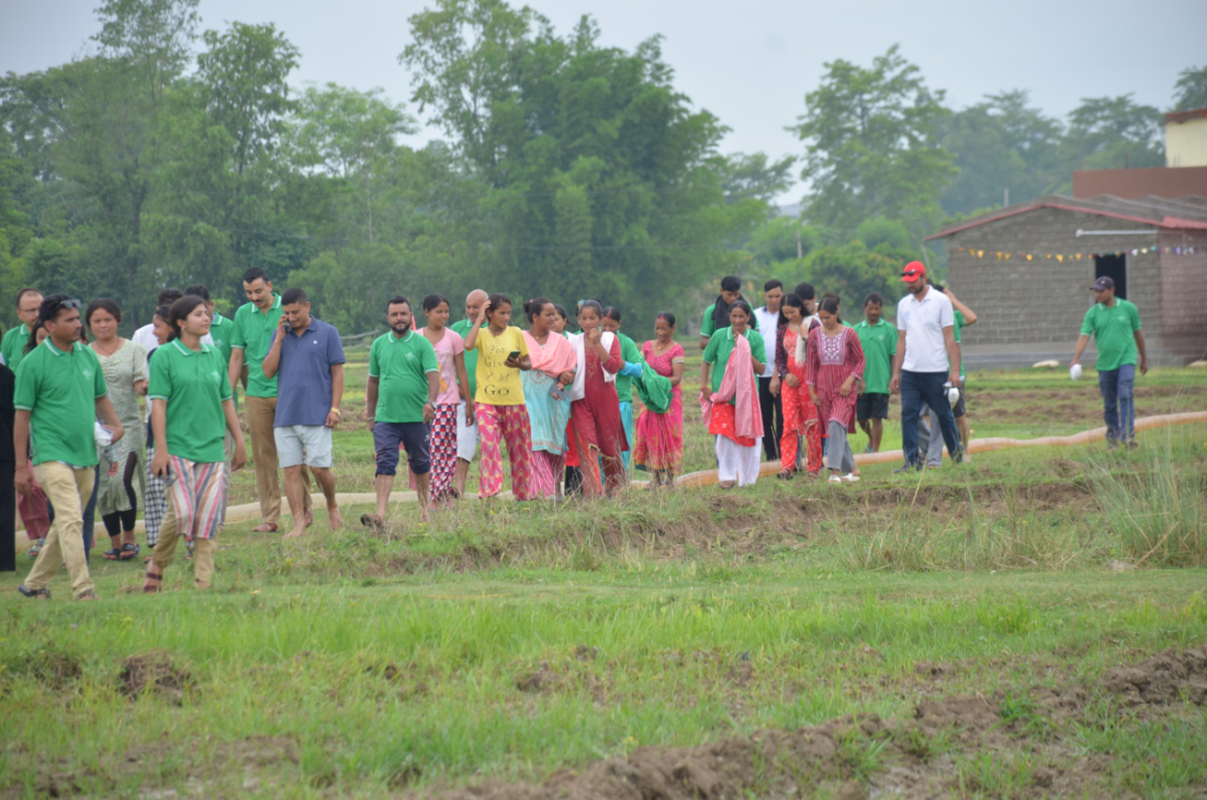  जिल्लाको गोदावरी नगरपालिका वडा नम्बर १ विजौरामा प्रदेशका मन्त्रालयहरुका सचिवहरु, कैलालीका सुरक्षा निकायका प्रमुखहरु तथा किसानको सहभागितामा रोपाई महोत्सव मनाइएको हो। 
