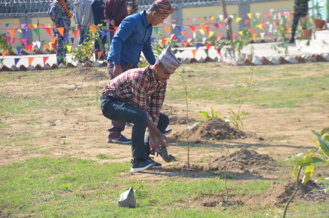   सुधार केन्द्रको उद्घाटनपछि उनीहरूले आँप, आभोगाडो लगाएतका बिरुवा रोपेका छन्। 