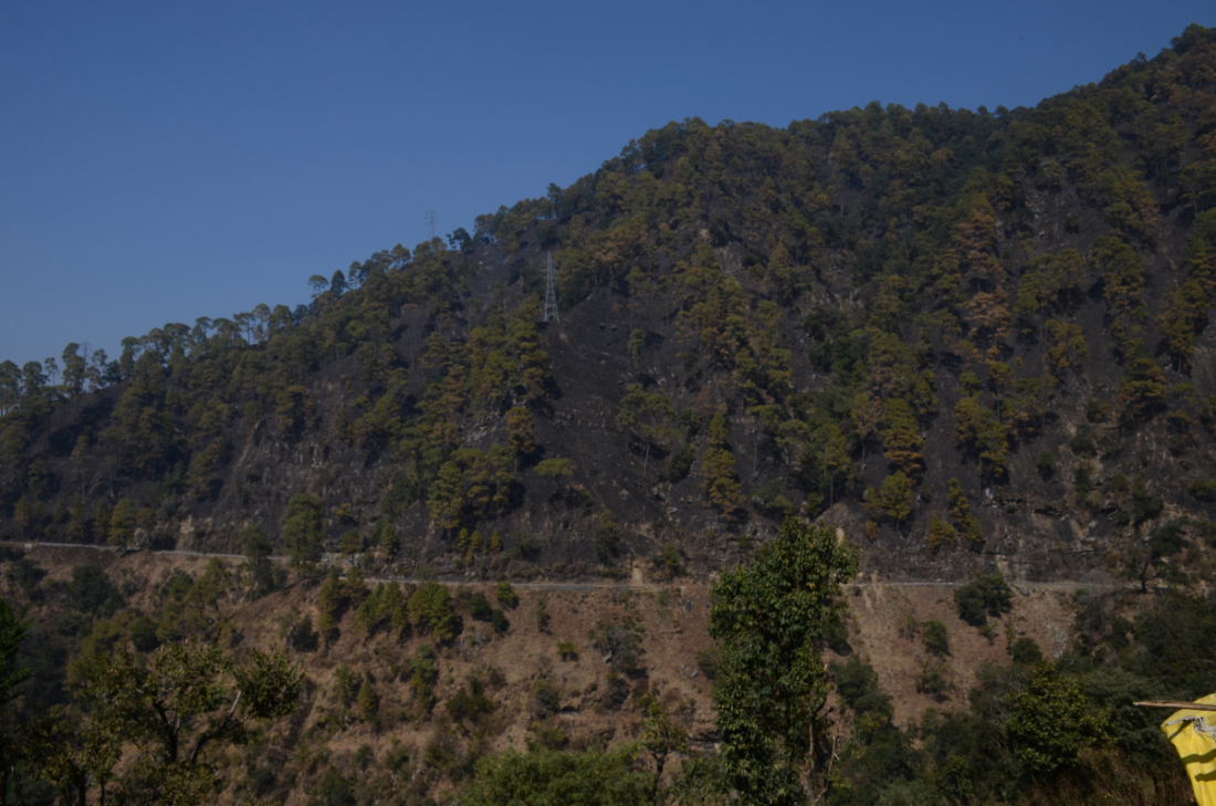 कैलालीमा तराई, पहाड तथा चुरे क्षेत्र पर्छ। 
