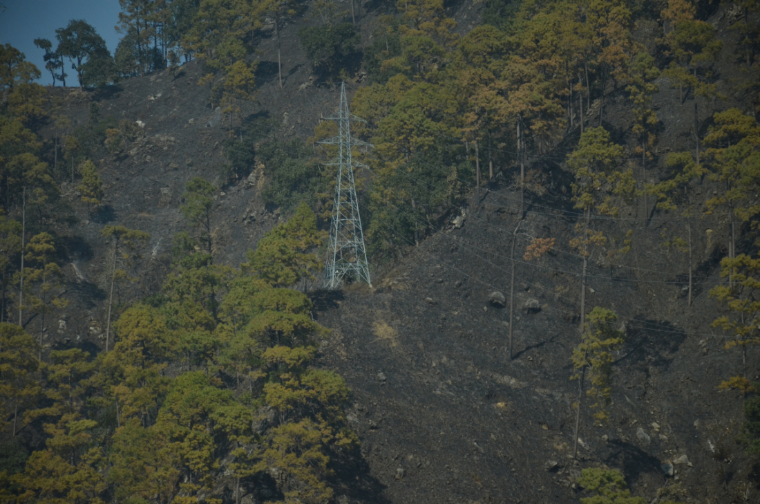 जहाँ गर्मी मौसम सुरु भएसँगै कैलालीको जंगलमा डढेलो लाग्न सुरु भएको छ