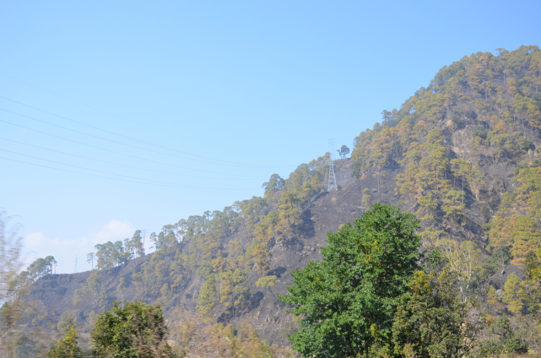 स्थानीयका अनुसार सो क्षेत्रमा ३÷४ दिन पहिले मात्र डढेलो लागेको होे। 