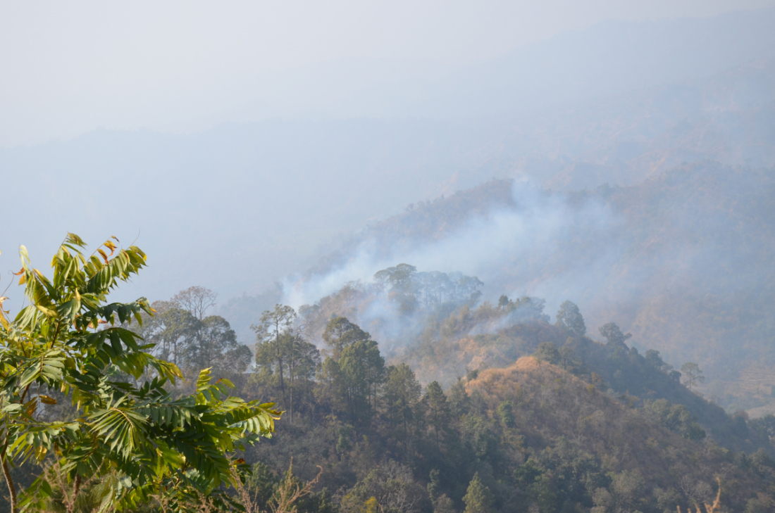 कैलाली जिल्ला नेपालको सबैभन्दा बढी वन क्षेत्र भएको जिल्ला हो। 