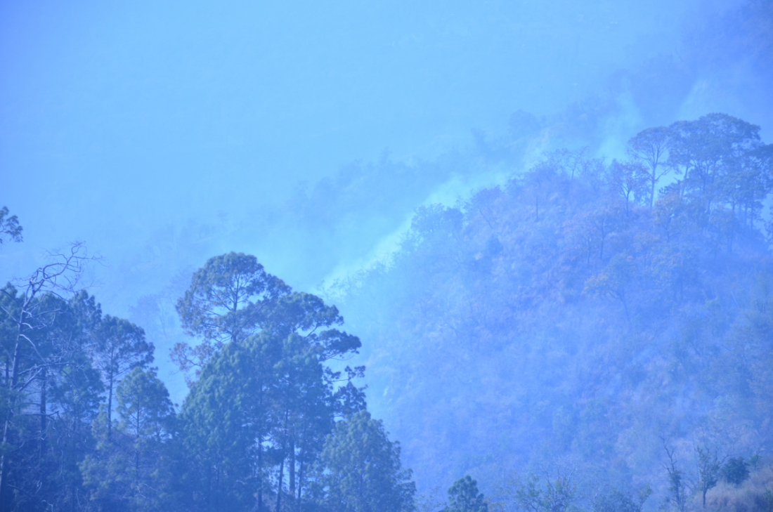 उनीहरु भन्छन, “बालबालिकाहरुले जंगलमा आलो लगाए। आगोले वनै सखास पारेको छ।