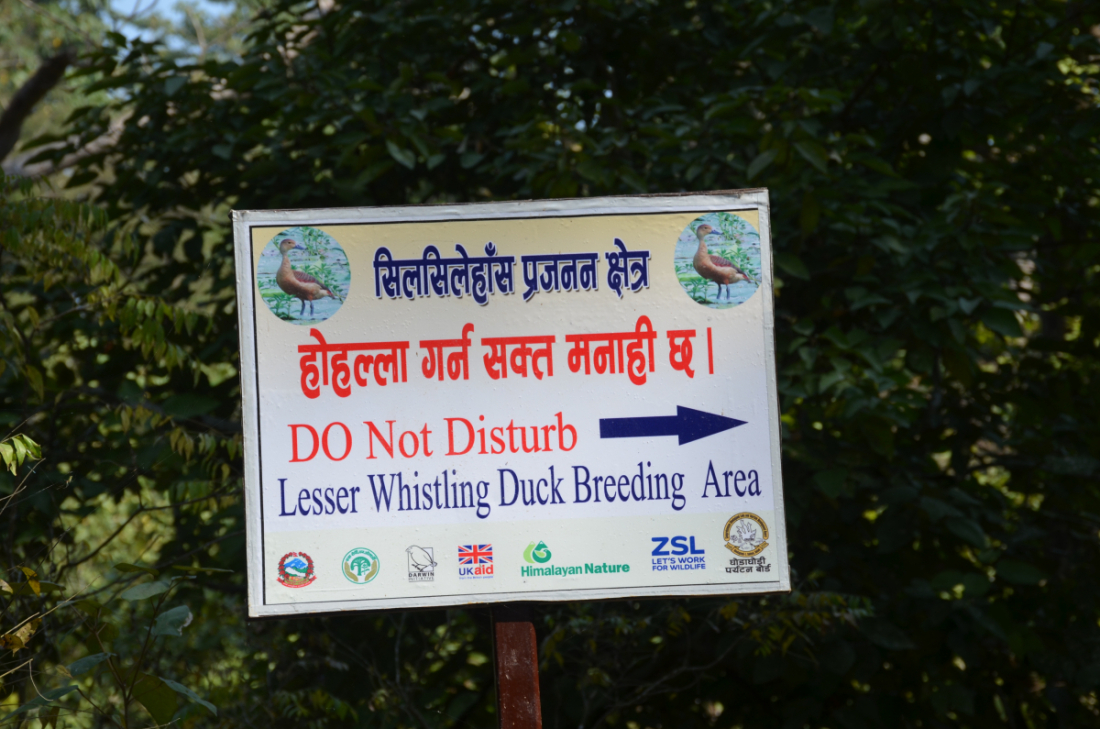 सुदूरपश्चिम प्रदेश सरकारले घोडाघोडी अभय आरण्य क्षेत्र घोषणा गरेको हो।