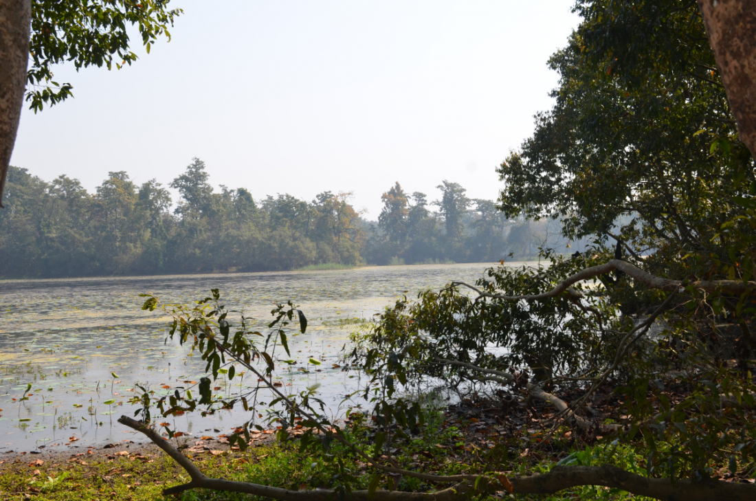 फाेटाे: कमल सावद