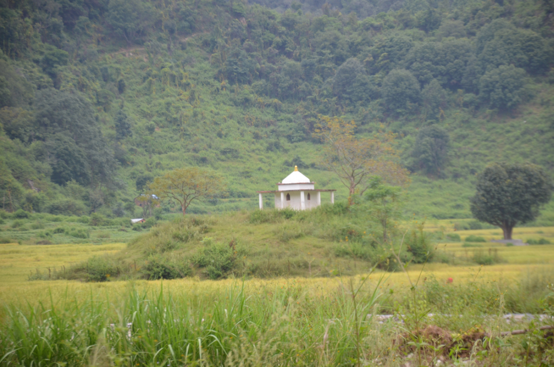  खेतका फाँटमा सप्रेको धानबालीको दृश्यबाट नै स्थानीय कृषकले गरेको मेहनत र परिश्रम झल्किन्छ।