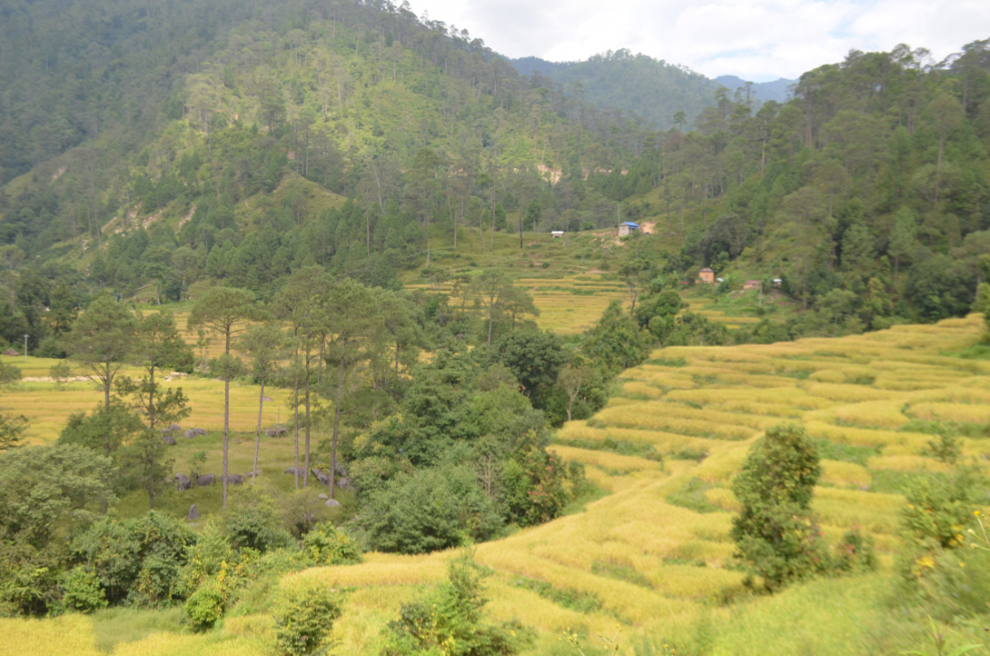 जोरायलः यतिखेर जोरायल पहेँलपुर भएको छ। 