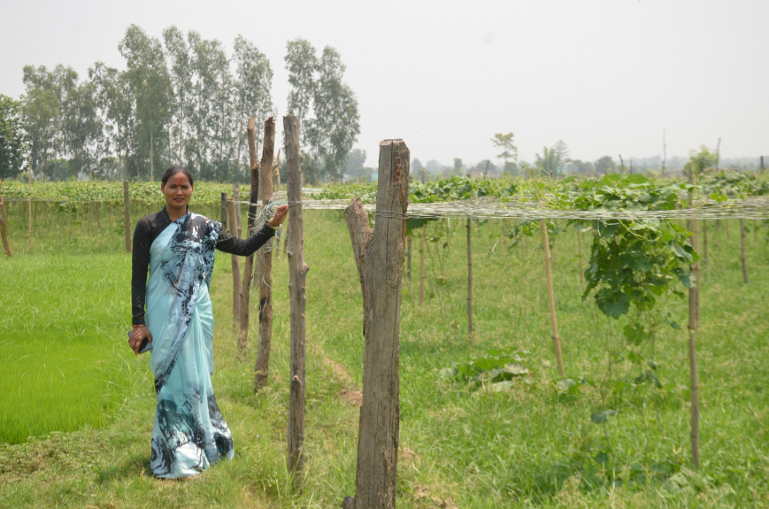 उनले २० कठ्ठा क्षेत्रफलमा खेती गर्न जमिनसमेत खरिद गरेका छन्।