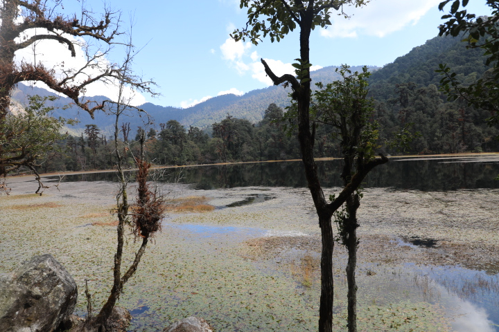  यो क्षेत्रमा राष्ट्रिय फूल लालीगुराँस र नेपालको राष्ट्रिय चरा डाँफे पाइन्छ।