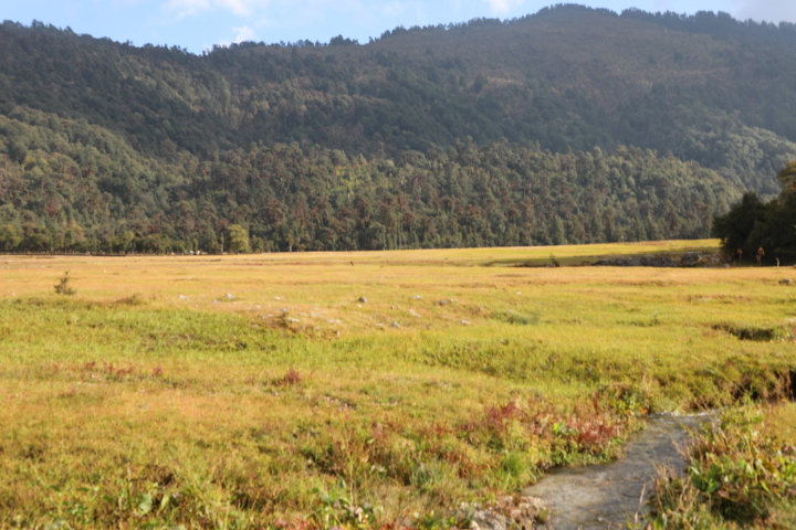   रामारोशसन जानसम्म सडक पूर्वाधारको सुविधा छ। 