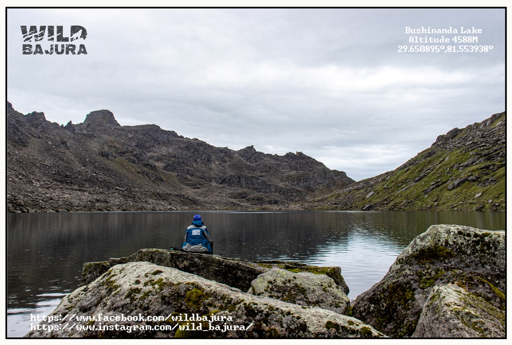 उनले वाइल्ड बाजुरा नामक अभियान नै सुरु गरेका हुन्।
