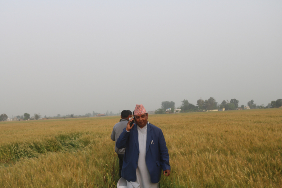 फोटोः नारायण अवस्थी