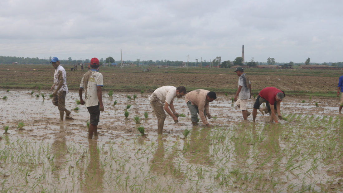 फोटोः नारायण अवस्थी