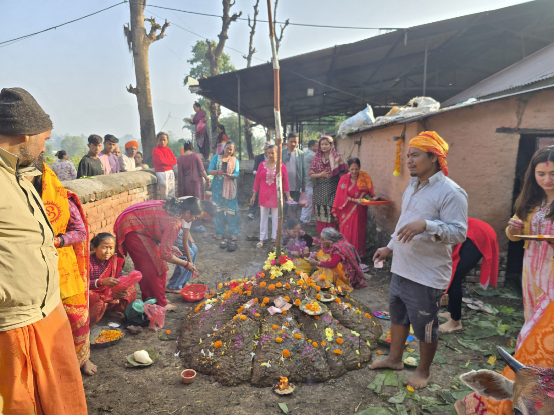 दाङको घोराही उपमहानगरपालिका-१४ झिङौरास्थित स्वर्गद्वारी आश्रम प्युठानको गुठी आनन्दकुटिरमा तिहारको तेश्रोदिन शुक्रबार बिहान गोवर्धन पूजा गर्दै भक्तजन 