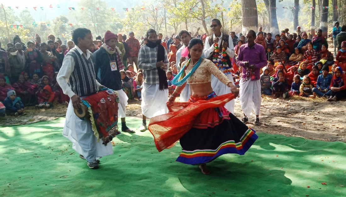 कञ्चनपुरको शुक्लाफाँटा नगरपालिका ९ को थारु समुदायको आस्थाको केन्द्र भम्कामा आयोजना गरिएको माघी मिलन कार्यक्रममा झुम्रा नृत्य देखाउदै थारु समुदायका महिला पुरुष। 