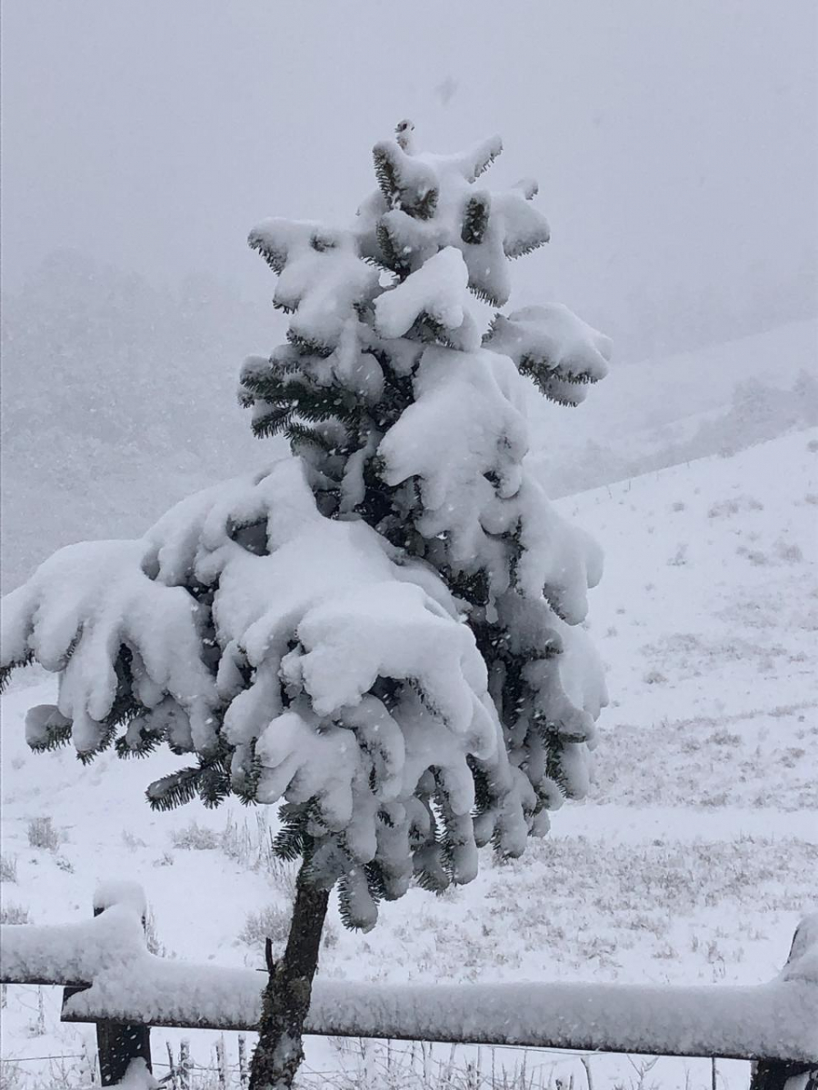 फोटो दिपकबहादुर खड्का