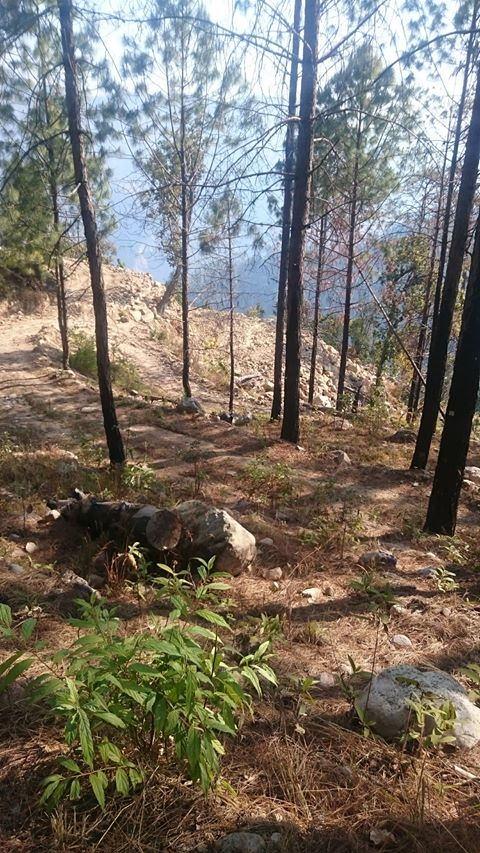 तस्वीरः खबर सवांददाता