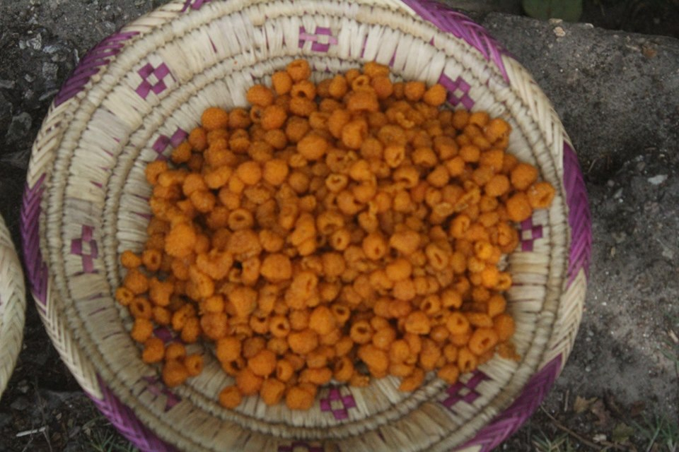 फोटो  :गणेश थापाको फेसबुकबाट 
