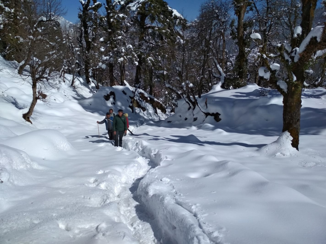वाजुराको बडीमालिका नगरपालिका र बुढीन्नदा नगरपालिकाको पोरखे लेखमा हिमपात भएपछि यातायात सेवा बन्द हुँदा स्थानीय वासिन्दा पैदल यात्रा गर्न बाध्य भएका छन् ।