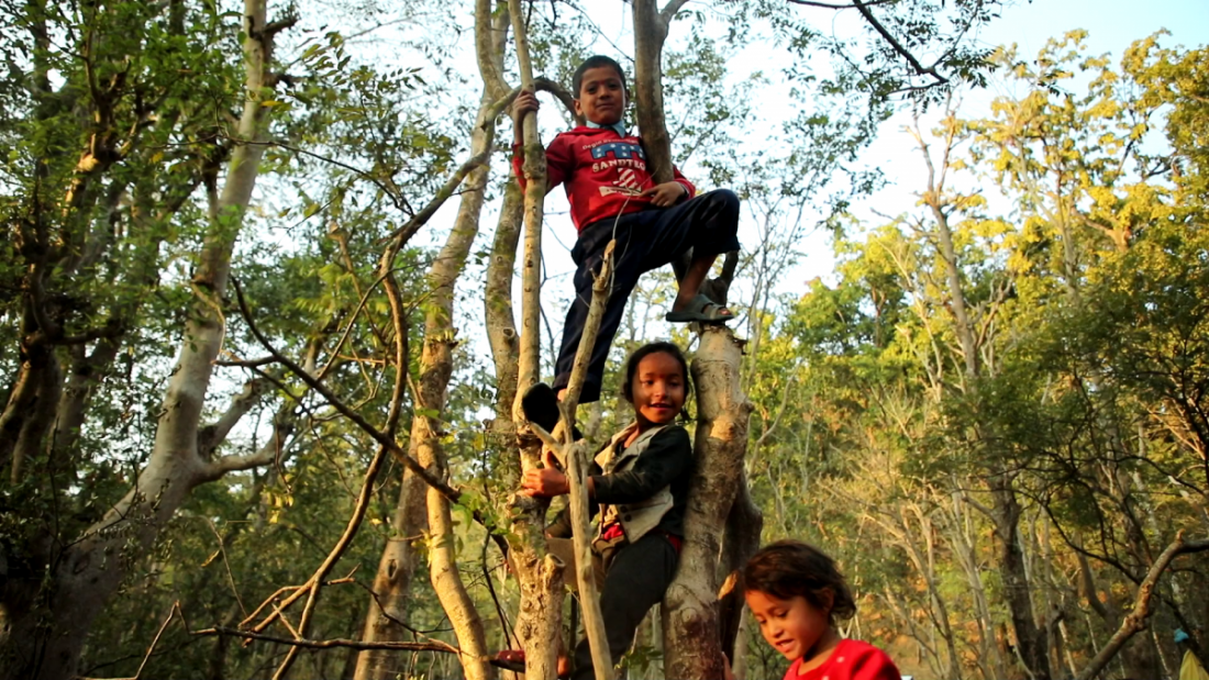 कैलालीको पहिरो पीडित बालकालिकाको जंगल पढाइ (फोटो फिचर)